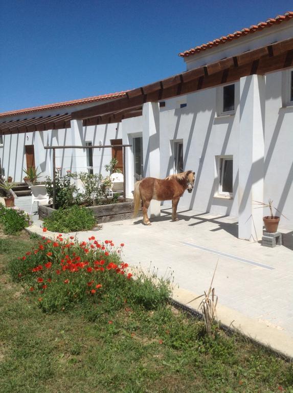 Quinta De Moledos Apartment Aljezur Bagian luar foto